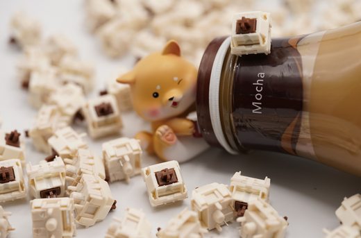 Rainy75 Cocoa Linear Switch Review | Featured in WOBKEY
