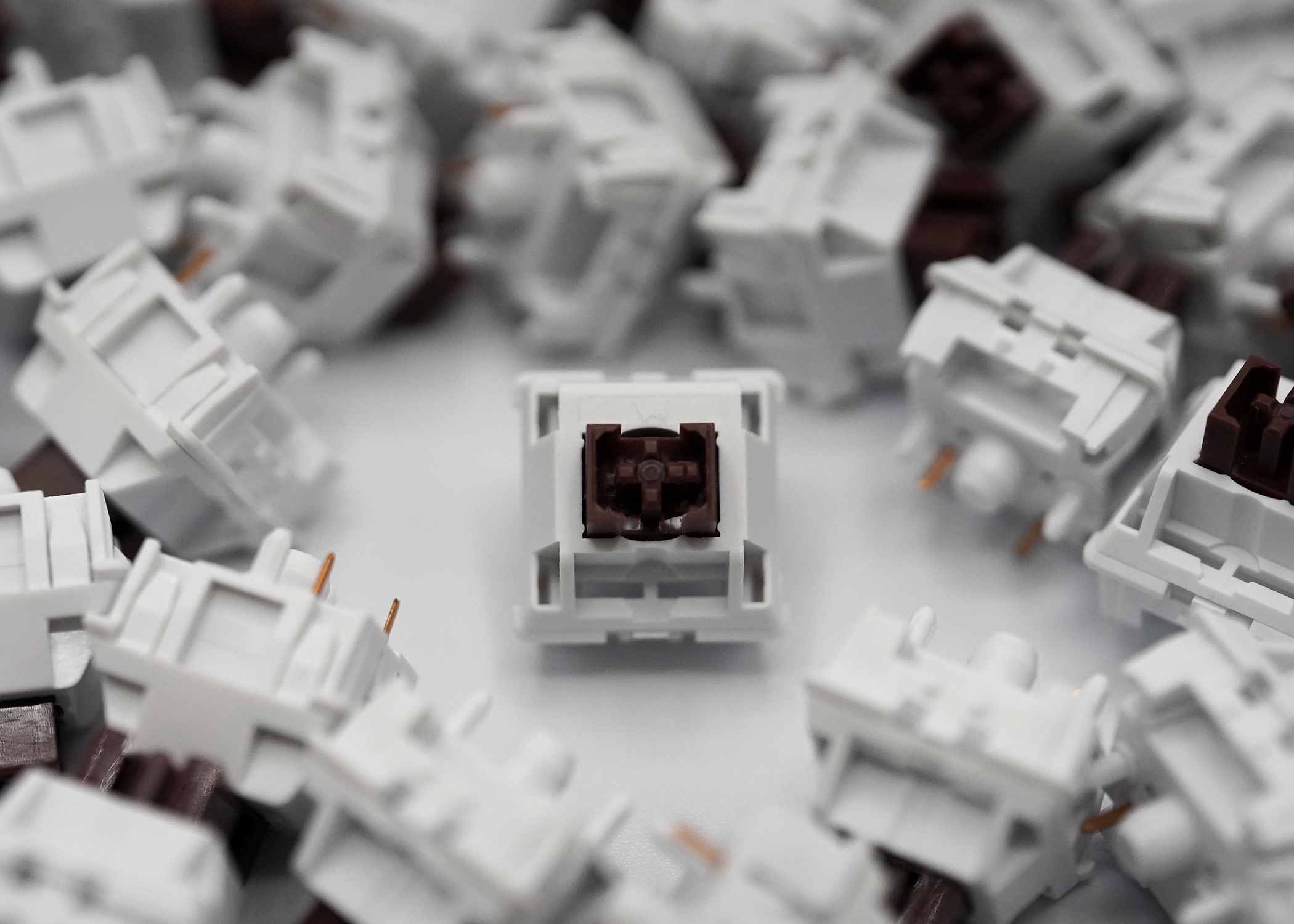 Wuque WS Brown Tactile Switches