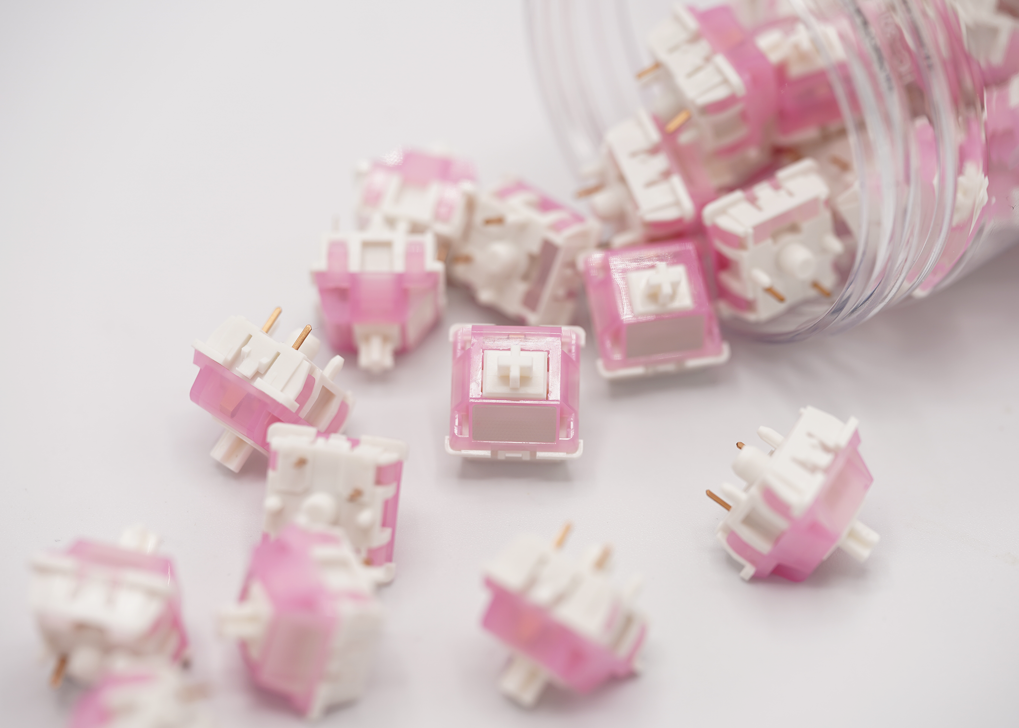 Durock Lotus Tactile Switches (White and Blue)Durock Lotus Tactile Switches (White and Blue)