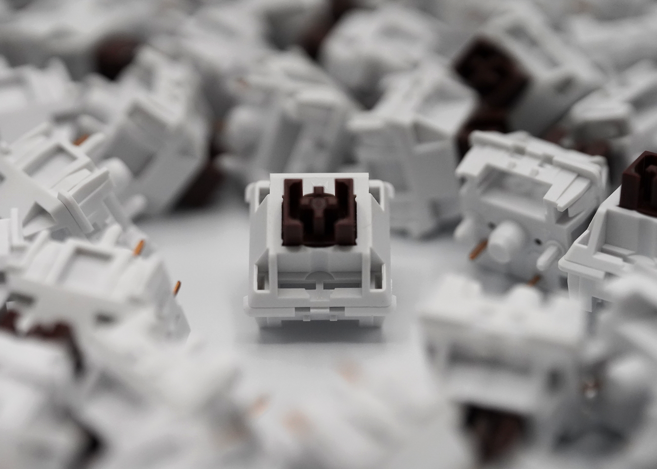 Wuque WS Brown Tactile Switches