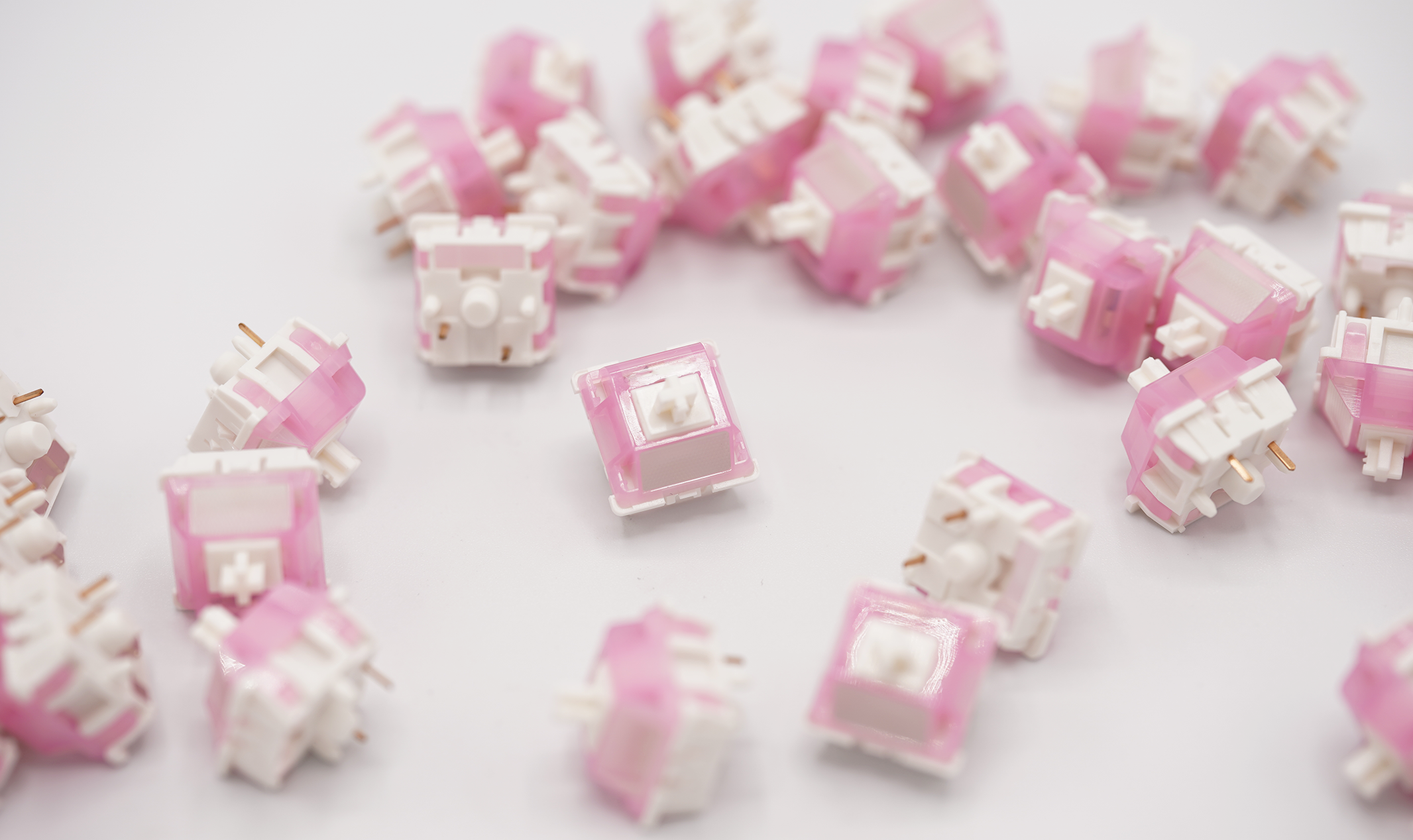 Durock Lotus Tactile Switches (White and Blue)
