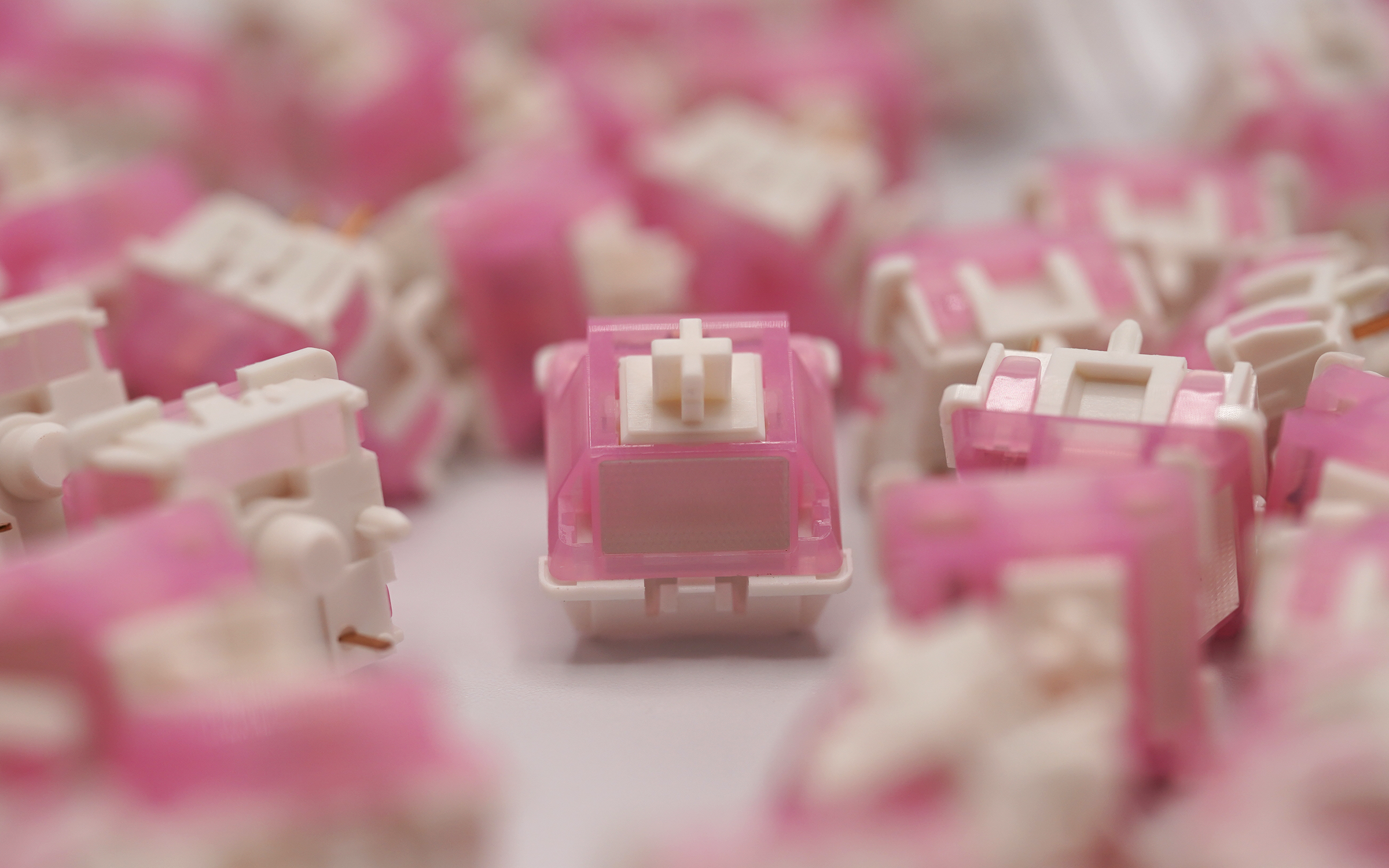 Durock Lotus Tactile Switches (White and Blue)