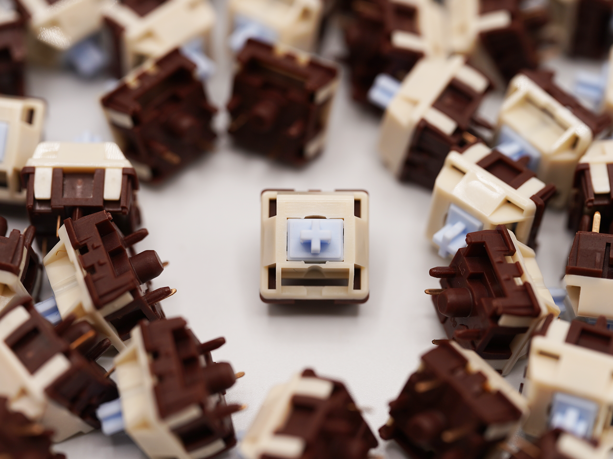 HMX Cream Latte Linear Switches