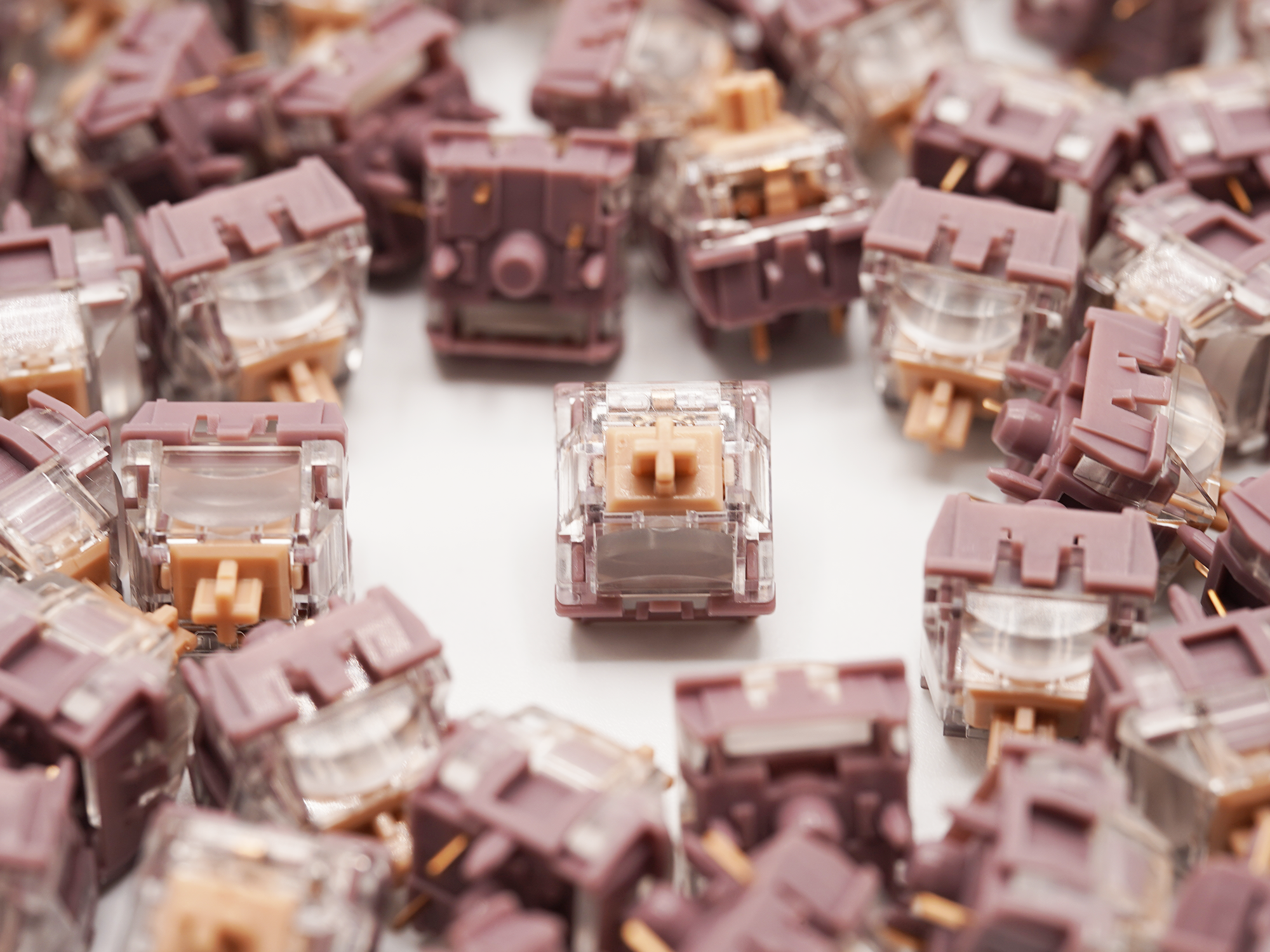 TTC Speed Gold V2 Linear Switches