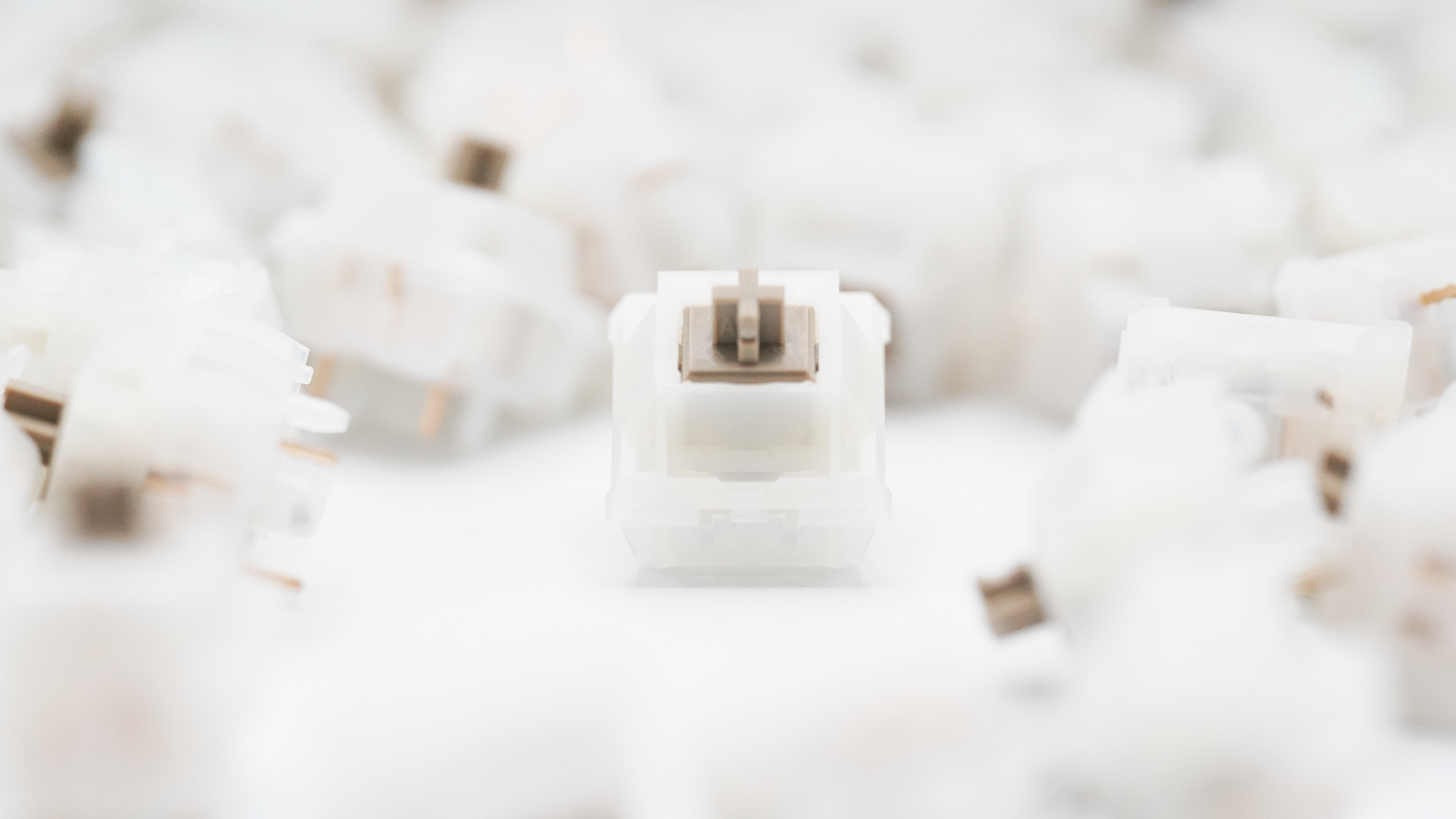Keygeek x Evoworks Rye Linear Switches