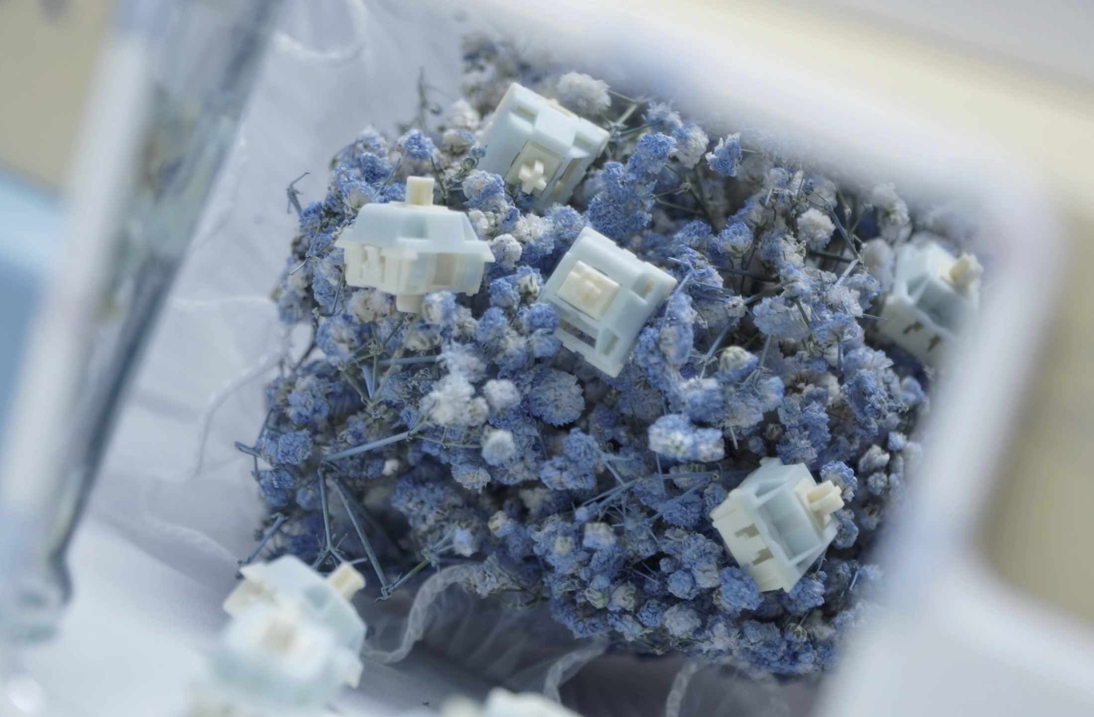Blue Cheese Linear Switches