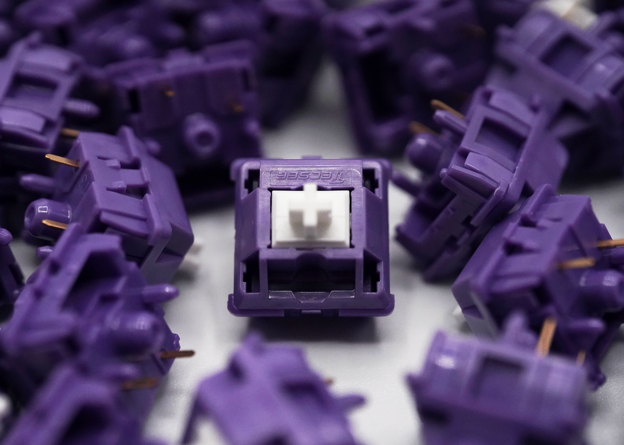 Tecsee Purple Panda Tactile Switches