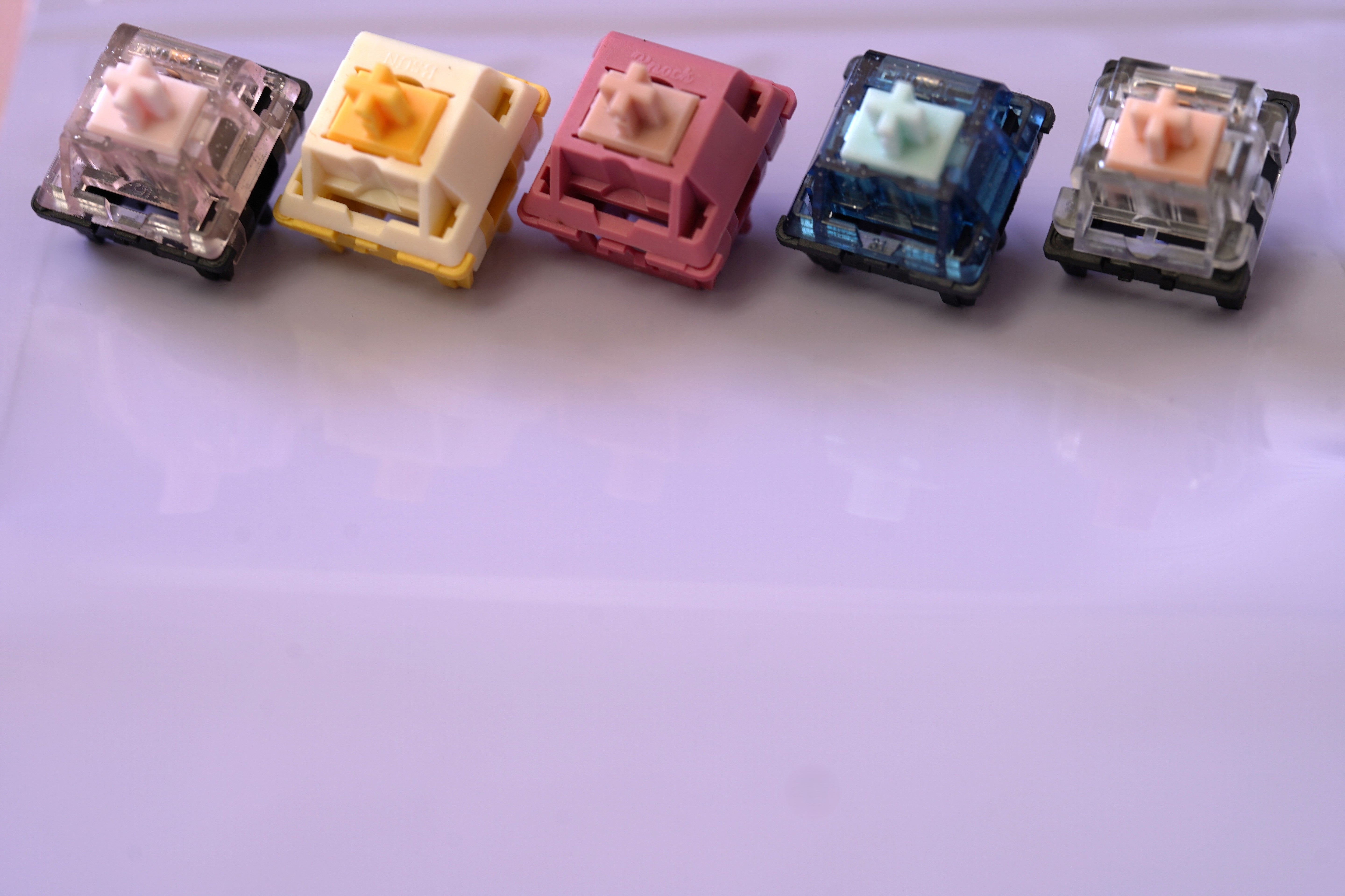 Best BSUN Switches of 2025