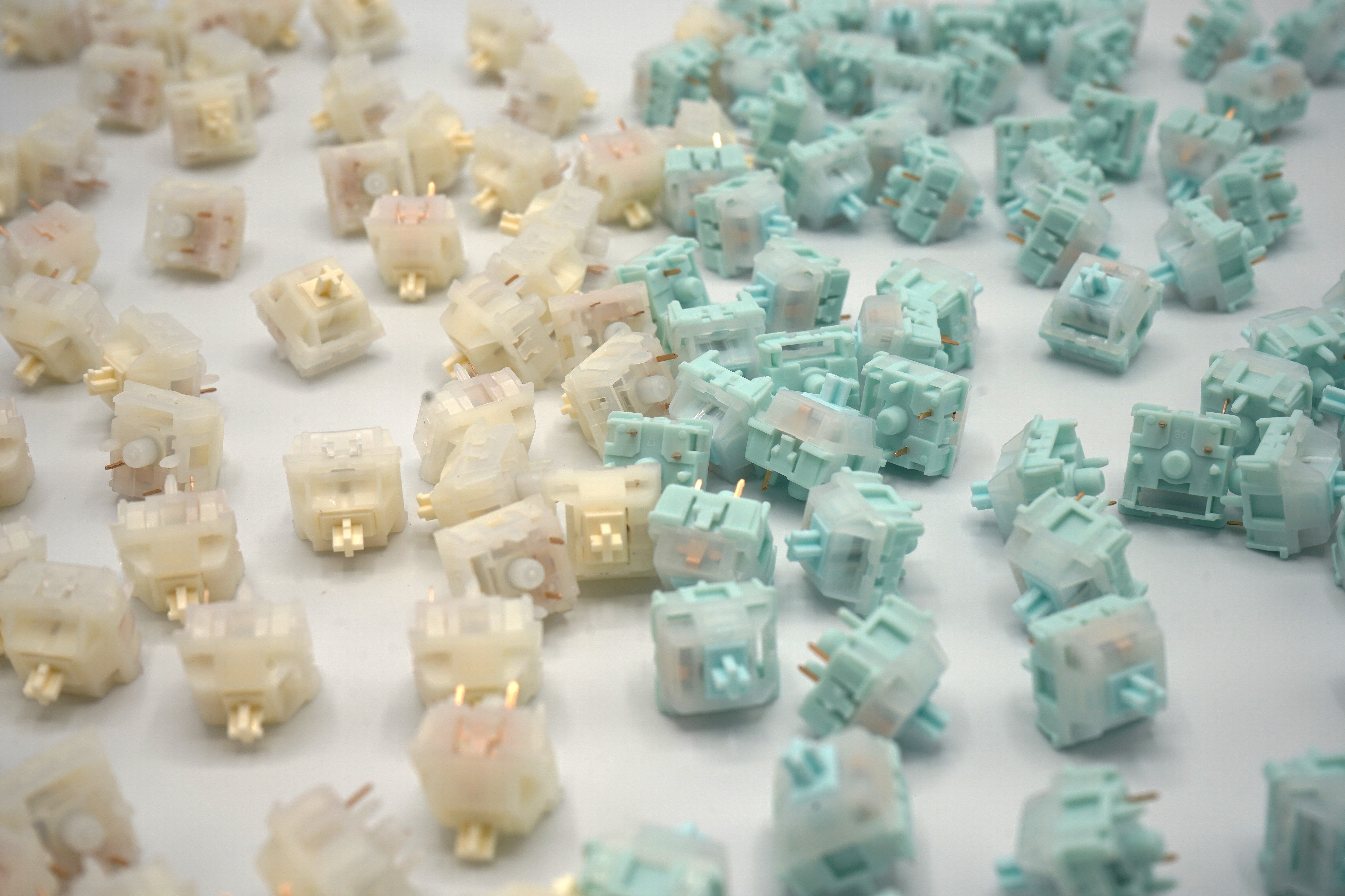 Neo x Keygeek Oat and Neo x HMX Azure | Featured in Evoworks Evo80