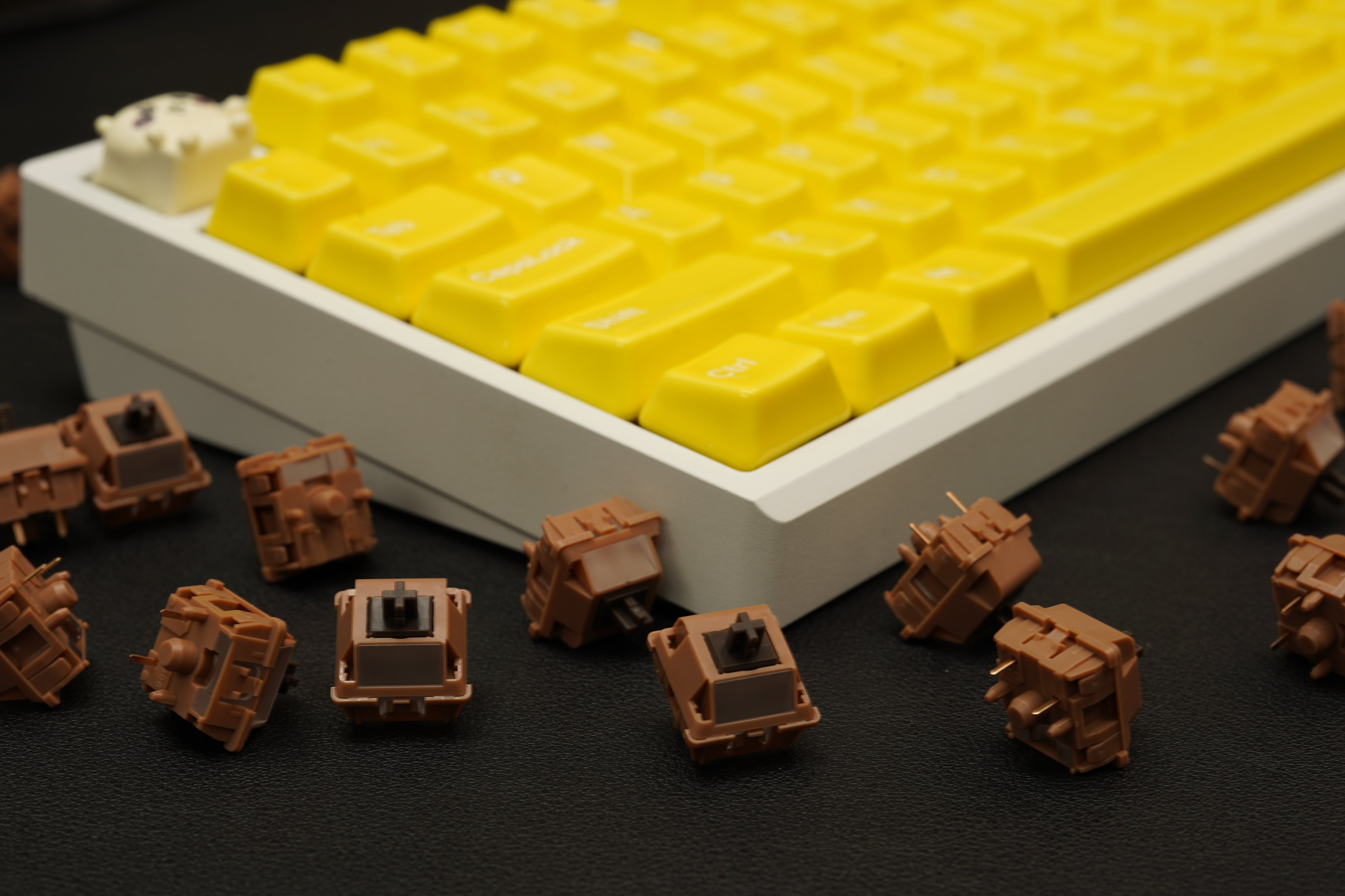 Durock Mocha Chocolate T1 Tactile Switch Review | LumeKeebs