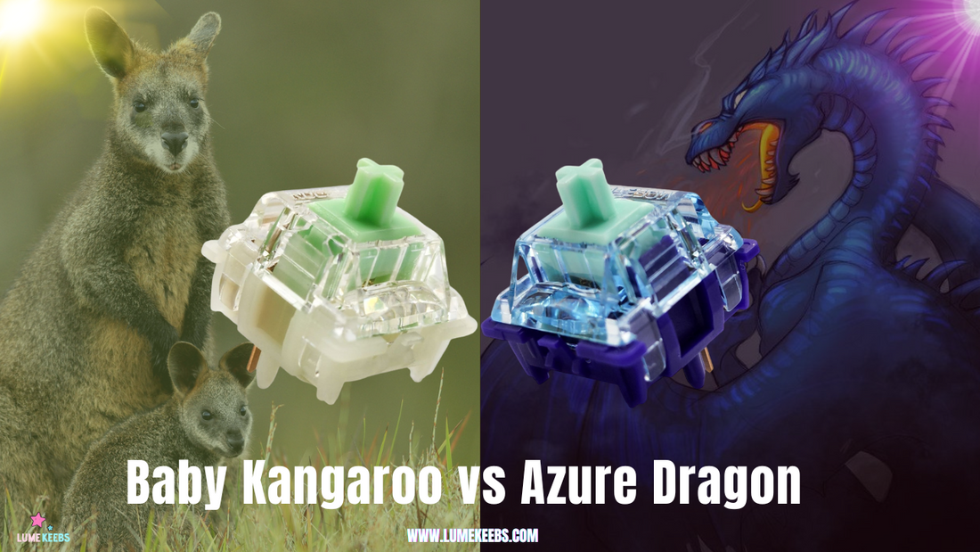 Gateron GoPolar Azure Dragon V2 vs Gateron Baby Kangaroo | Tactile Switches Review