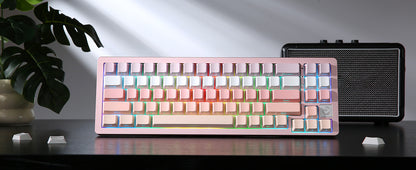 YUNZII AL71 Full Aluminum Mechanical Keyboard