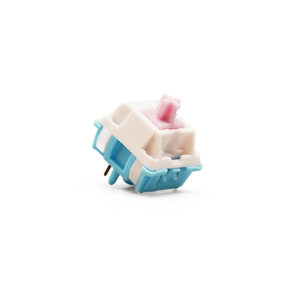 BSUN Cinnamon Pink Linear Switches