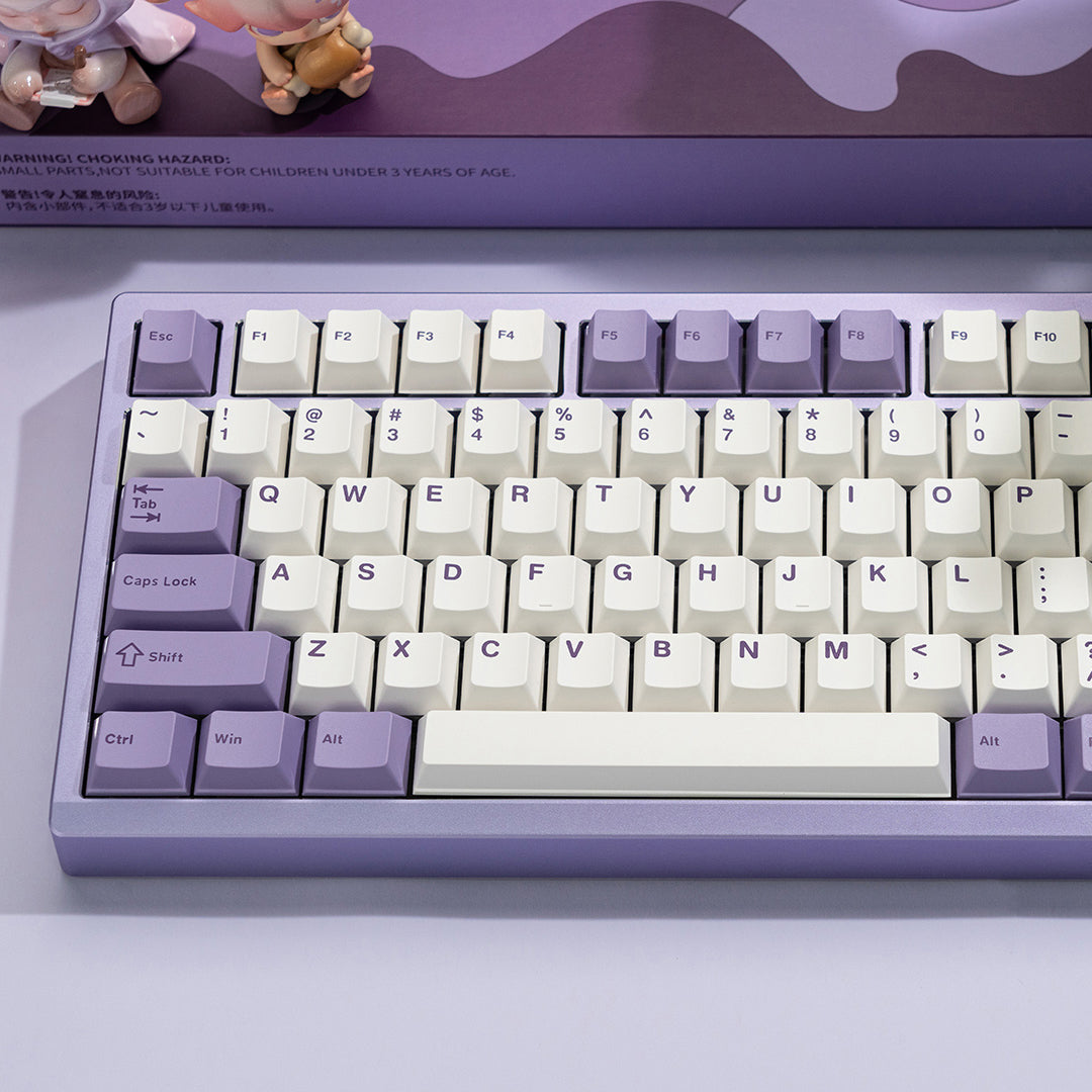 WS Lavender Bliss Keycaps Doubleshot PBT Cherry Profile
