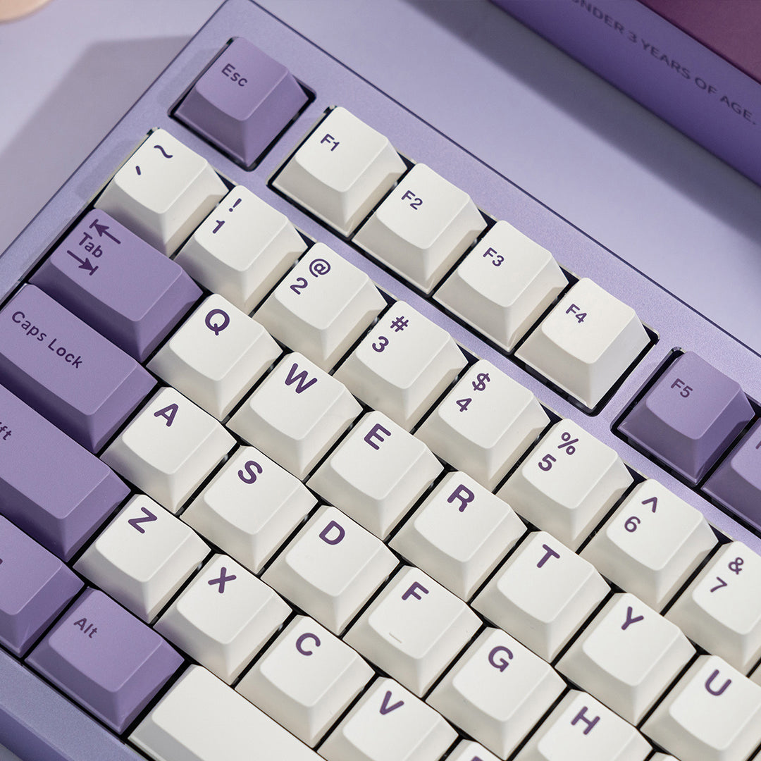 WS Lavender Bliss Keycaps Doubleshot PBT Cherry Profile