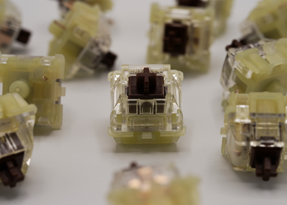 Cherry MX RGB Brown Tactile Switches