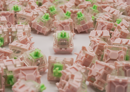 Gateron Dual-rail Magnetic Jade Mini E Switches