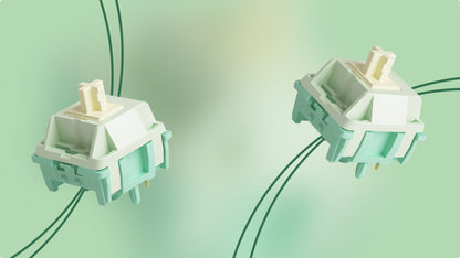 Akko Cilantro Tactile Switches