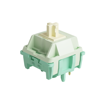 Akko Cilantro Tactile Switches