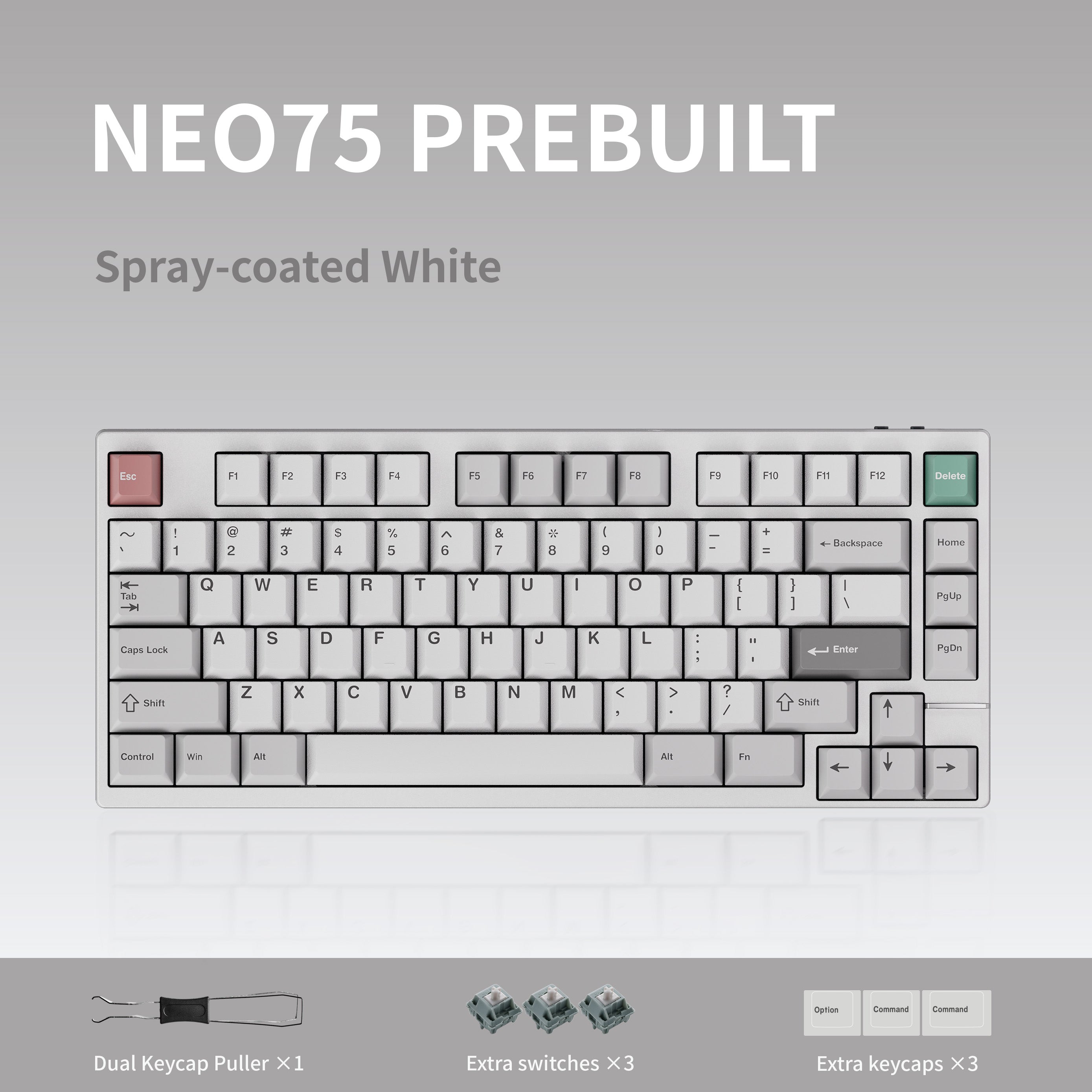 Neo75 Prebuilt Keyboard 75% Layout Mechanical Keyboard – LumeKeebs