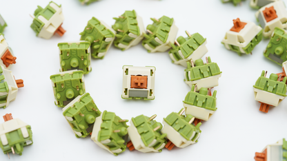 Wingtree Matcha Cream Tactile Switch (10PCS)