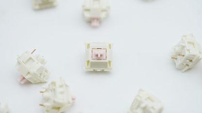 Gateron Smoothie Pink Silent Switches (10PCS)