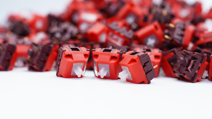 BSUN x HC Studios Roselle Linear Switches (10PCS)
