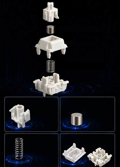 BSUN Bright Snow HE Magnetic Switches (10PCS)