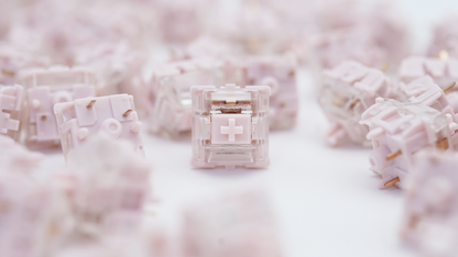 Gateron Fruit Jelly Strawberry Linear Switches (10PCS)