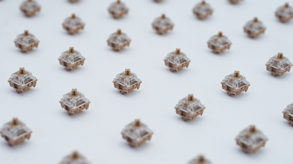 Gateron Fruit Jelly Chocolate Tactile Switches (10PCS)