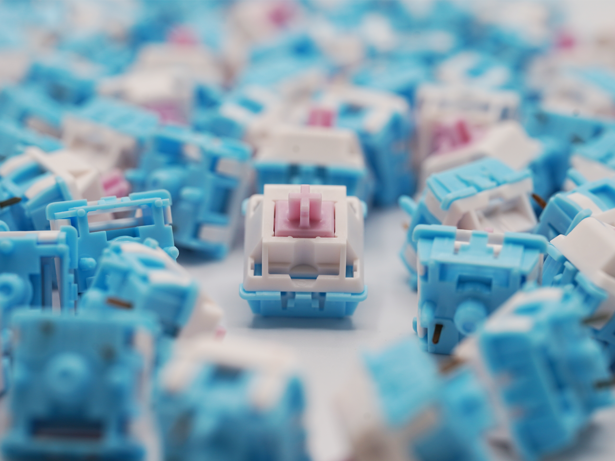 BSUN Cinnamon Pink Linear Switches