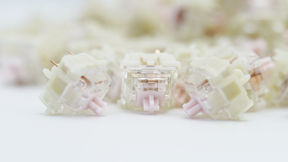 Gateron KS-9 3.0 Silent Linear Switches (10PCS)