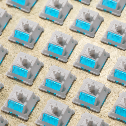 BSUN Bright Snow HE Magnetic Switches (10PCS)