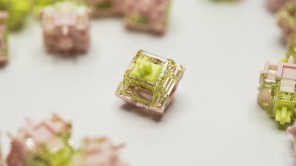 GATERON Harmonic Clicky Tactile Switches (10PCS)