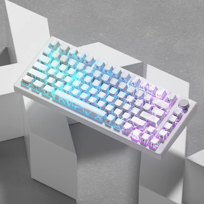 XVX IMD Spider Web Shine-Through OEM Profile 118-Key Keycap Set