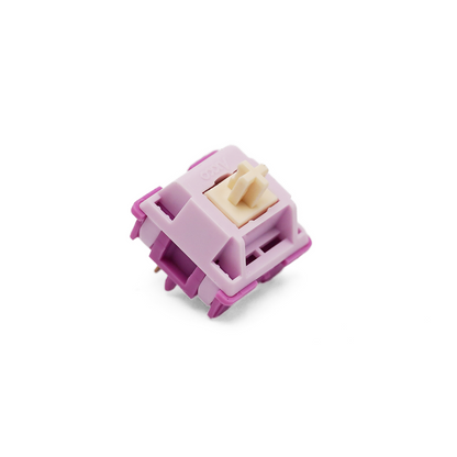 Akko V3 Creamy Purple Pro Tactile Switches