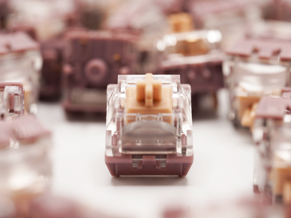 TTC Speed Gold V2 Linear Switches