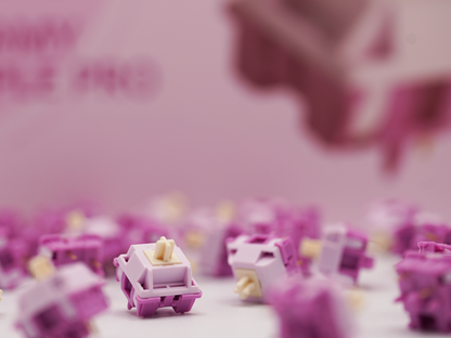 Akko V3 Creamy Purple Pro Tactile Switches