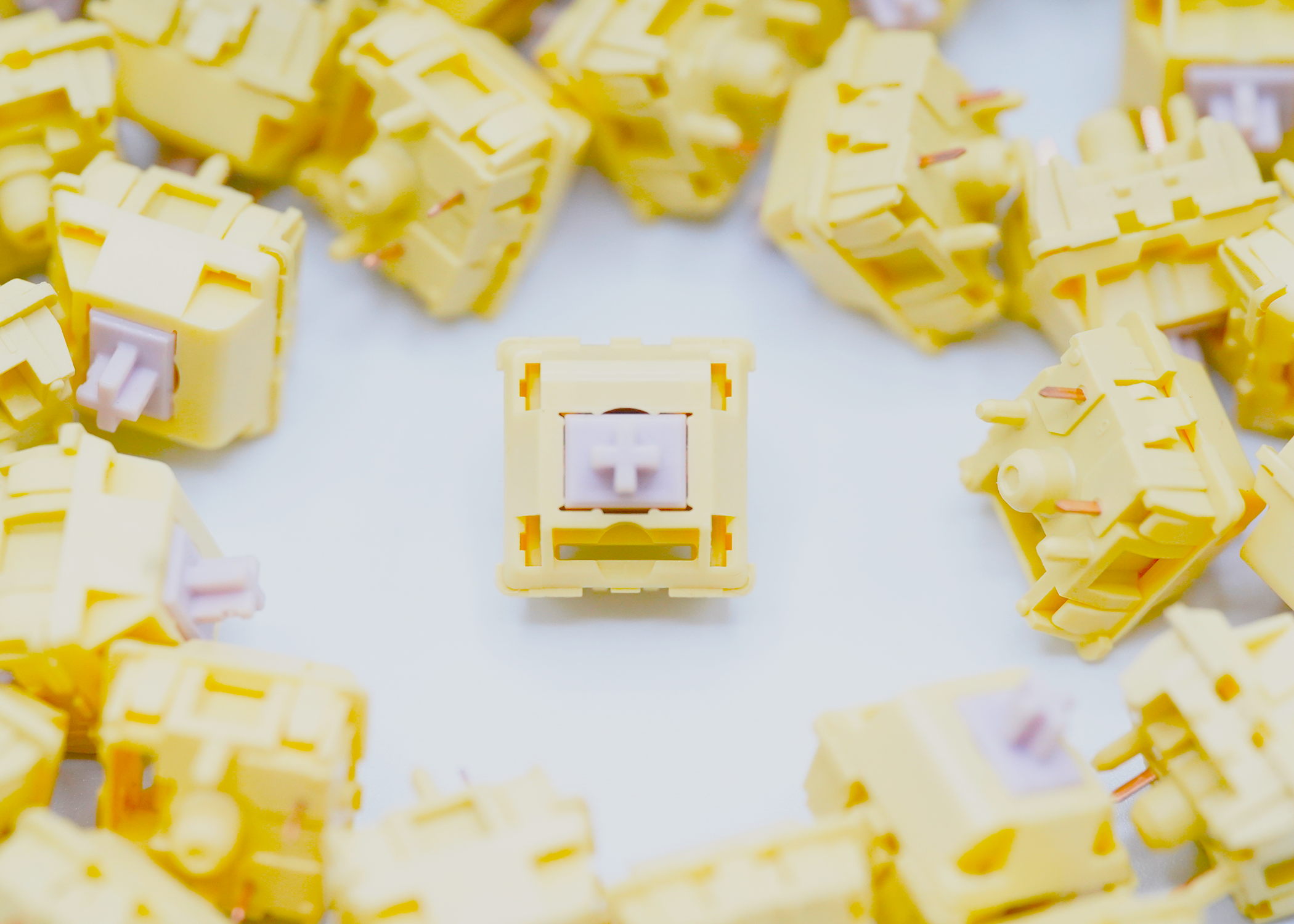 BSUN Agarwood Linear Switches