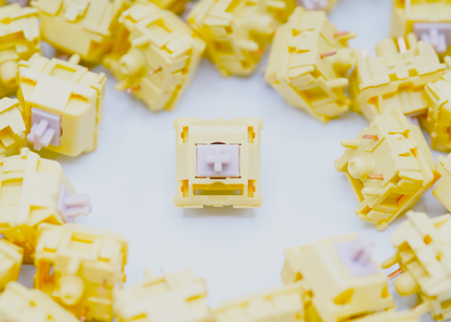 BSUN Agarwood Linear Switches