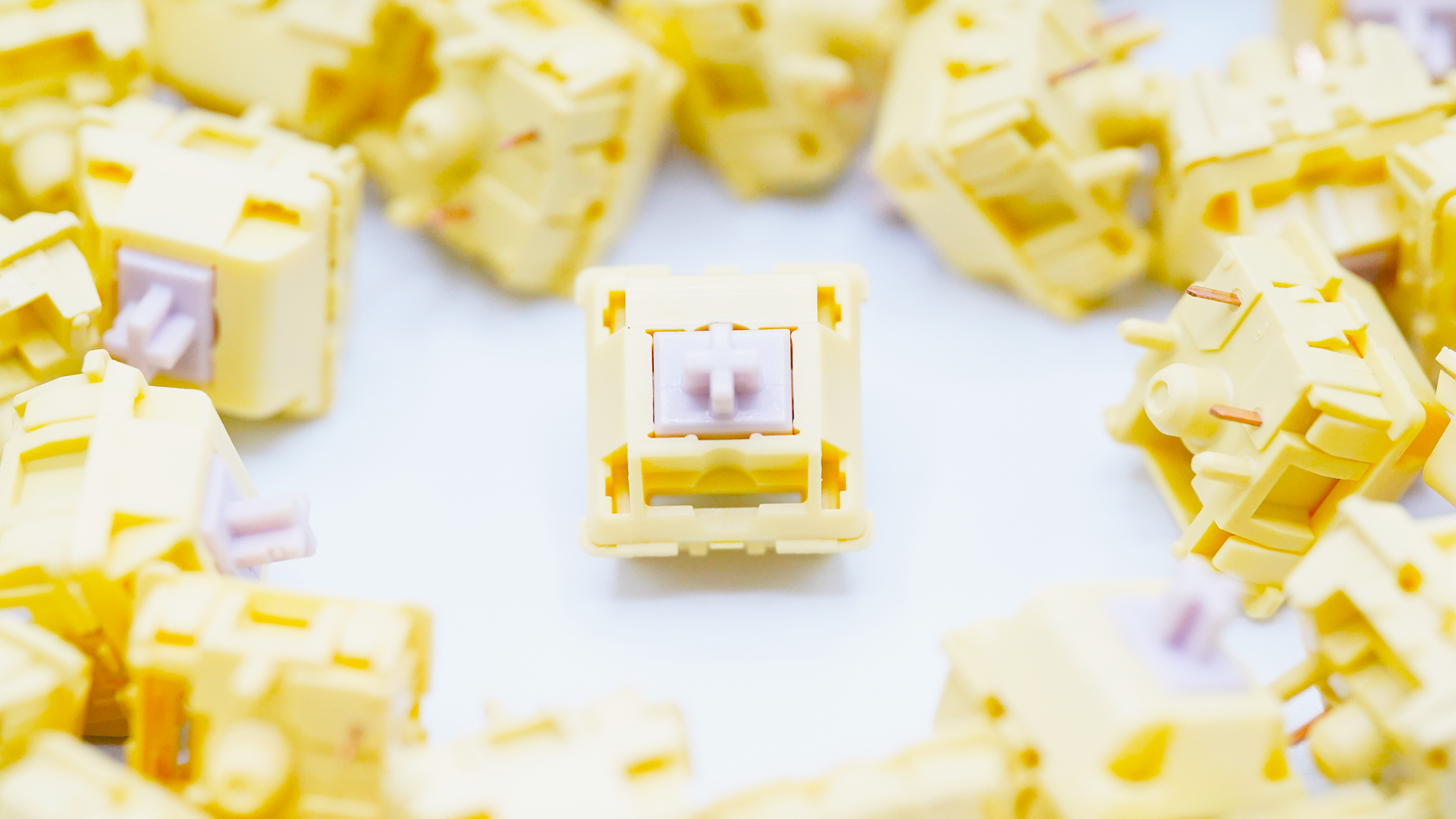 BSUN Agarwood Linear Switches