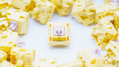 BSUN Agarwood Linear Switches