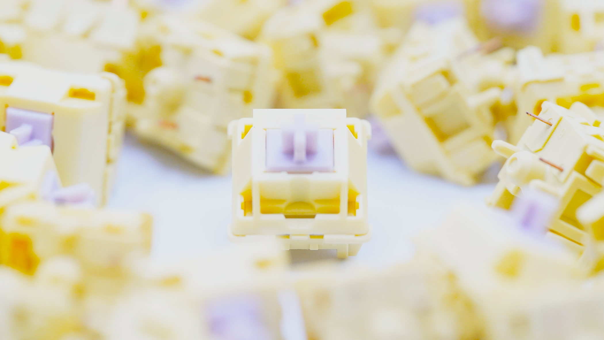 BSUN Agarwood Linear Switches