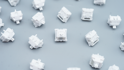 BSUN Bright Snow HE Magnetic Switches (10PCS)