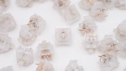 BSUN L2 Linear Switches 