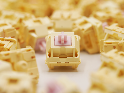 BSUN Usagi Linear Switches