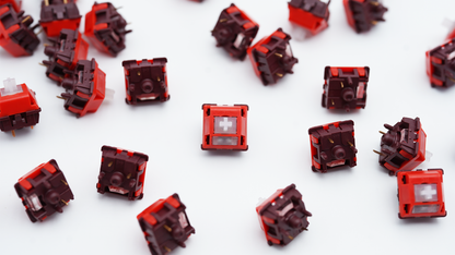 BSUN x HC Studios Roselle Linear Switches (10PCS)