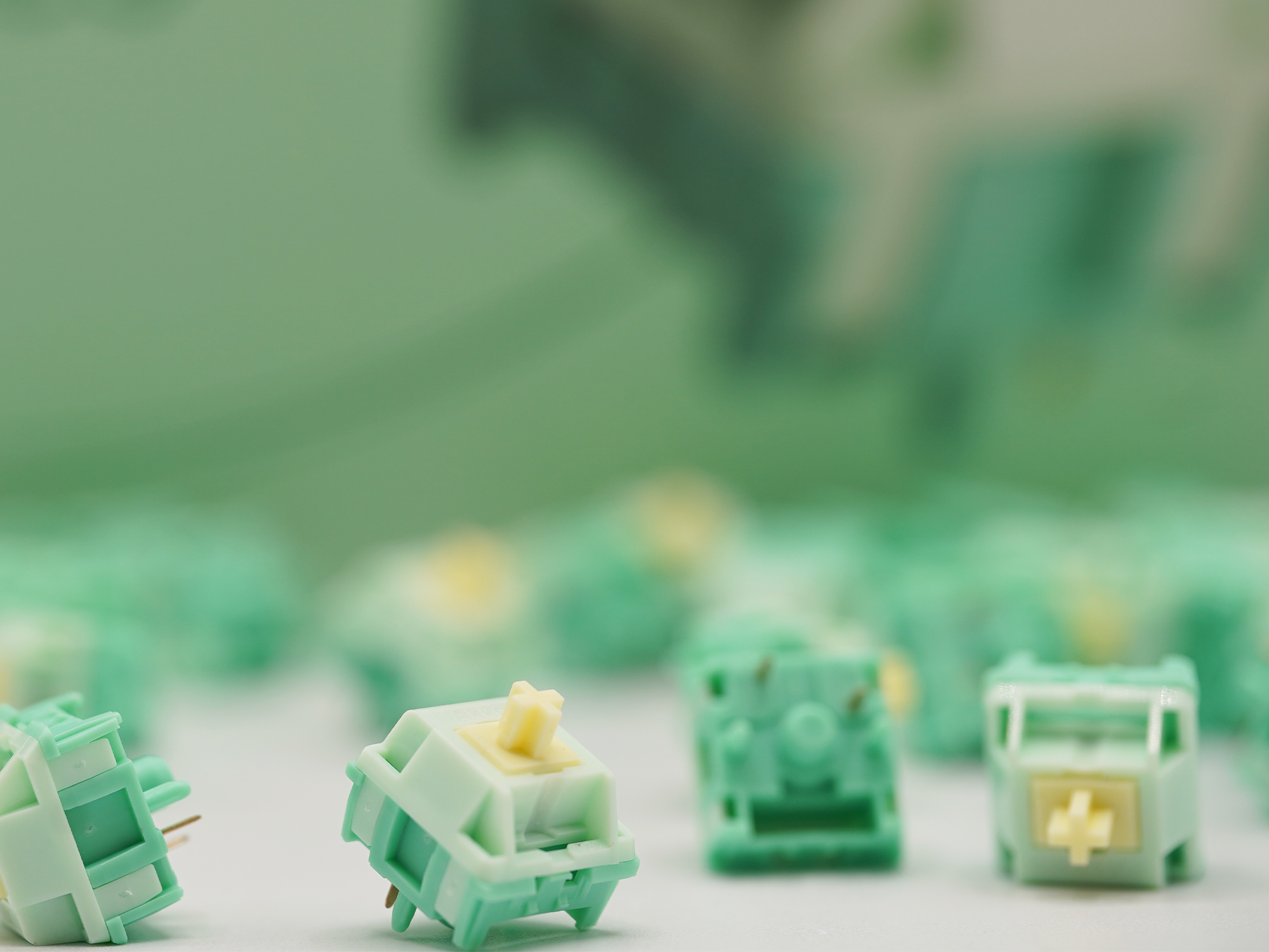 Akko Cilantro Tactile Switches