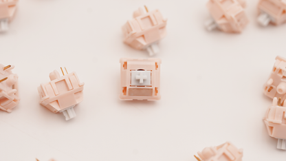 BSUN Flower Shadow V2 Linear Switches (10PCS)