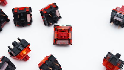 HMX Centifolia Rose Linear Switches (10PCS)